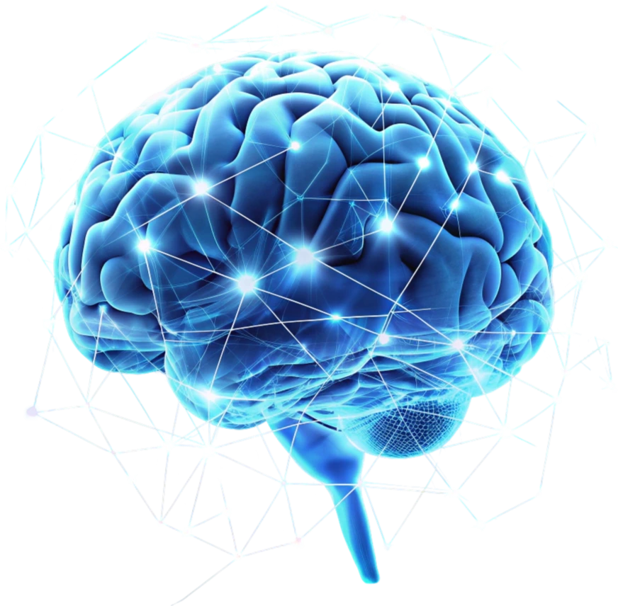 Neuro Sharp Brain Supplement